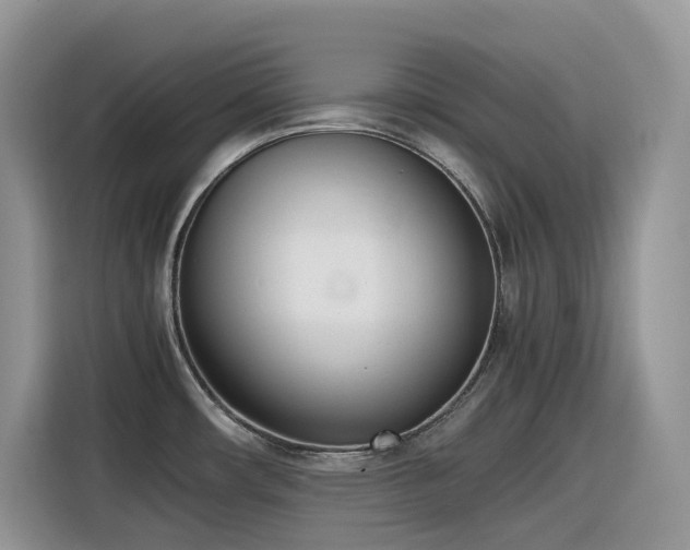 X0000116331482200912011122