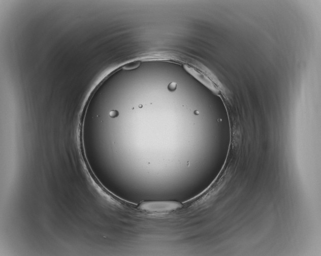 X0000116331484200912011122