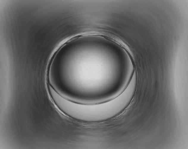 X0000116331485200912011122
