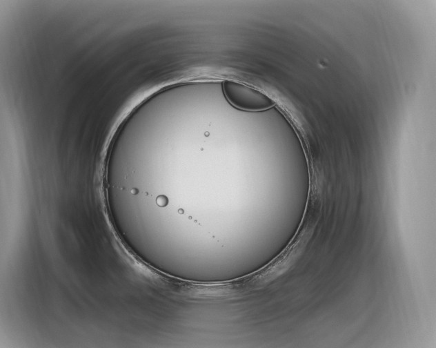 X0000116331486200912011122