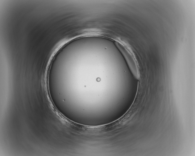 X0000116331488200912011122