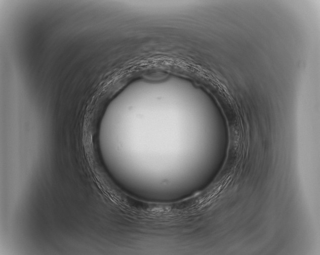 X0000116331489200912011122
