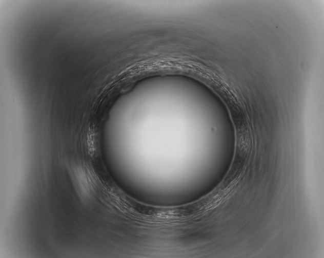 X0000116331490200912011122