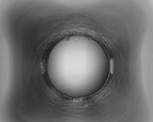 X0000116331491200912011122