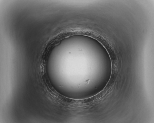 X0000116331493200912011122
