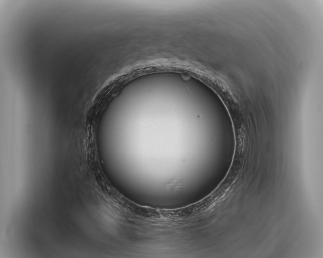 X0000116331494200912011122