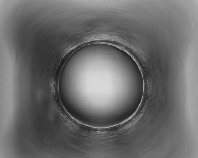 X0000116331497200912011122