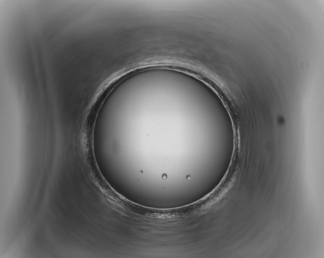 X0000116331501200912011122