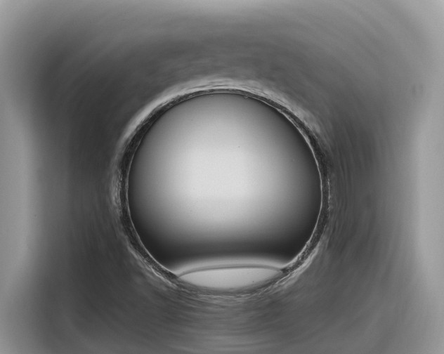 X0000116331502200912011122