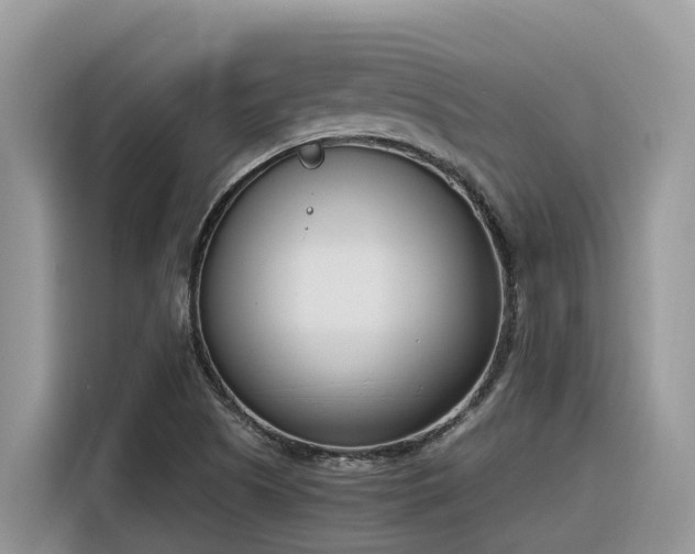 X0000116331505200912011122