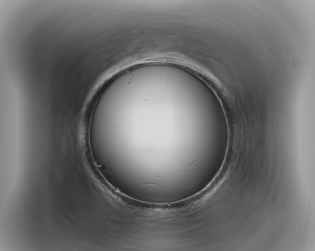 X0000116331506200912011122