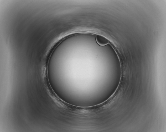 X0000116331507200912011122