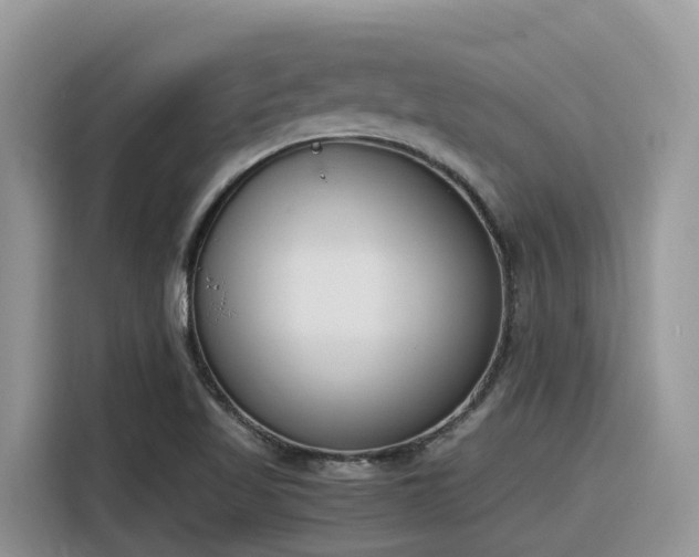 X0000116331509200912011122