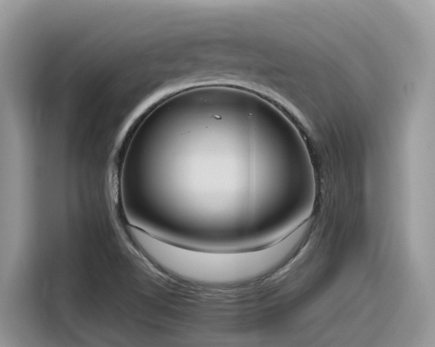 X0000116331510200912011122