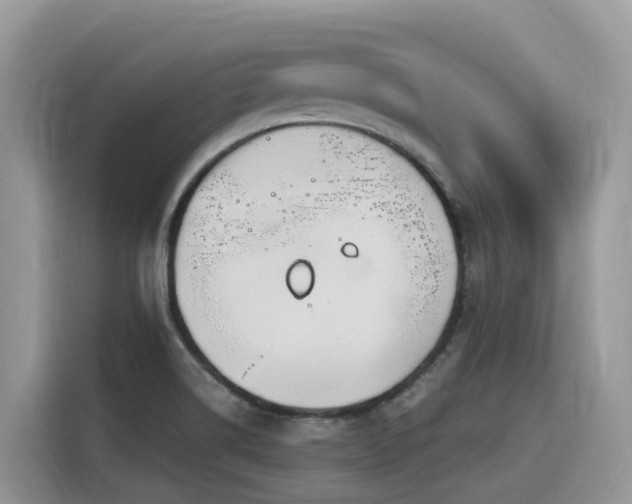 X0000116331514200912011122
