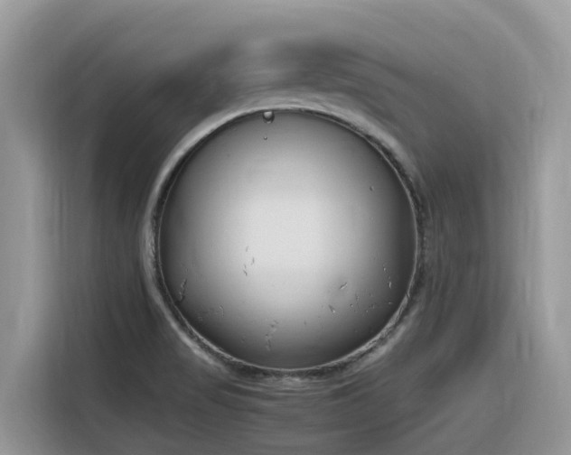 X0000116331517200912011122