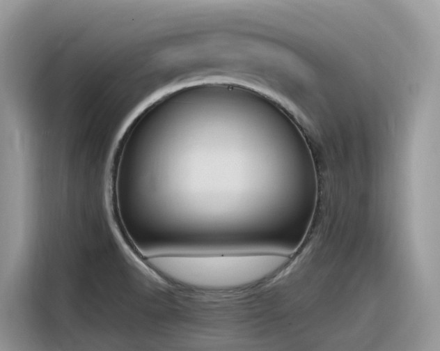 X0000116331518200912011122