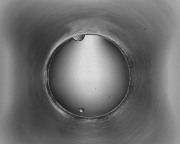 X0000116331519200912011122