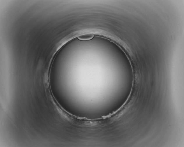 X0000116331521200912011122
