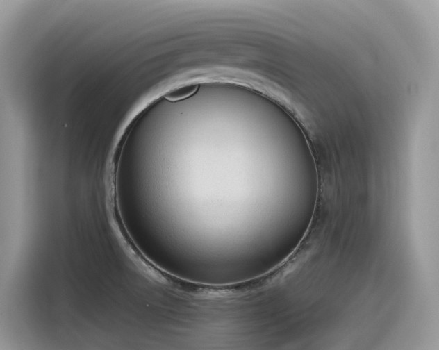 X0000116331522200912011122