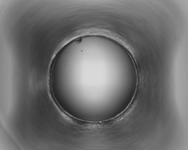 X0000116331525200912011122