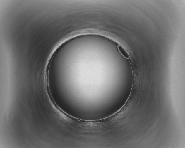 X0000116331527200912011122