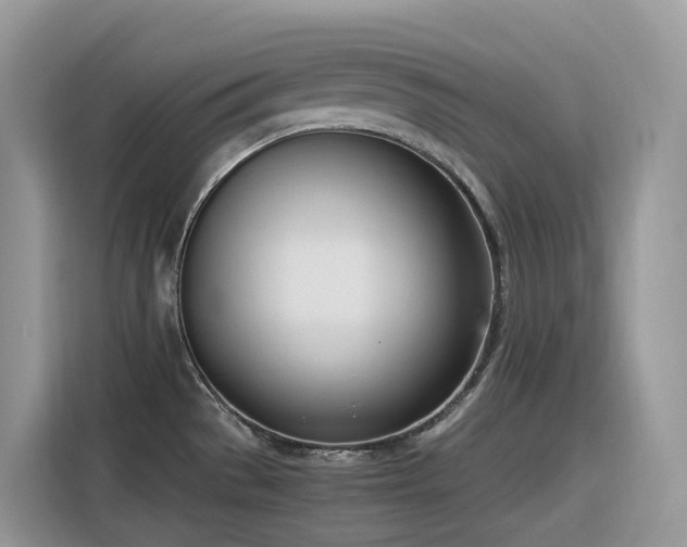 X0000116331529200912011122