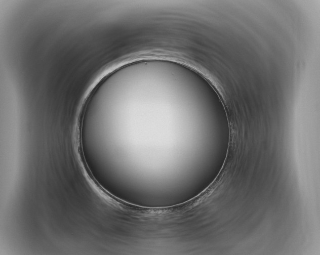 X0000116331531200912011122