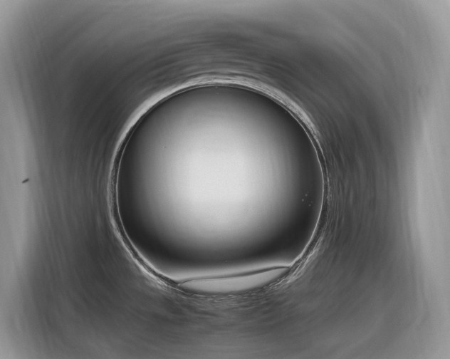 X0000116331533200912011122