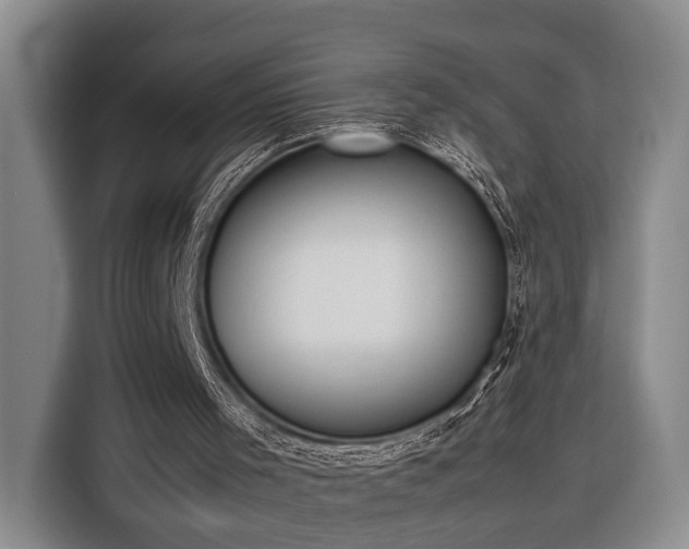 X0000116330001200912091048