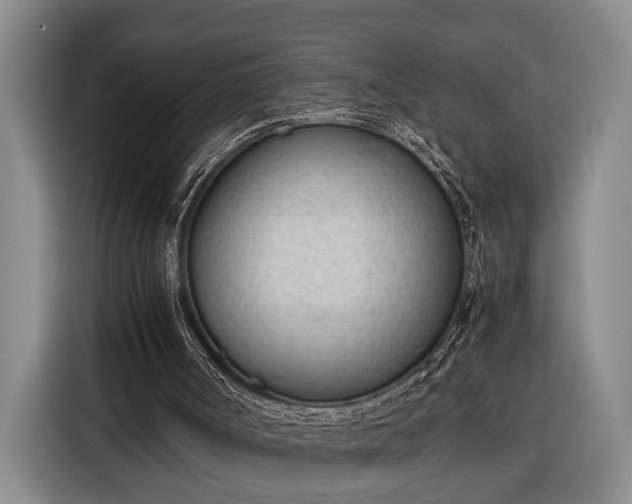 X0000116330002200912091048