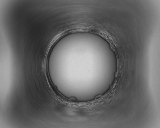 X0000116330003200912091048