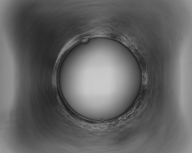 X0000116330004200912091048