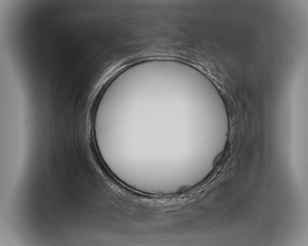 X0000116330005200912091048