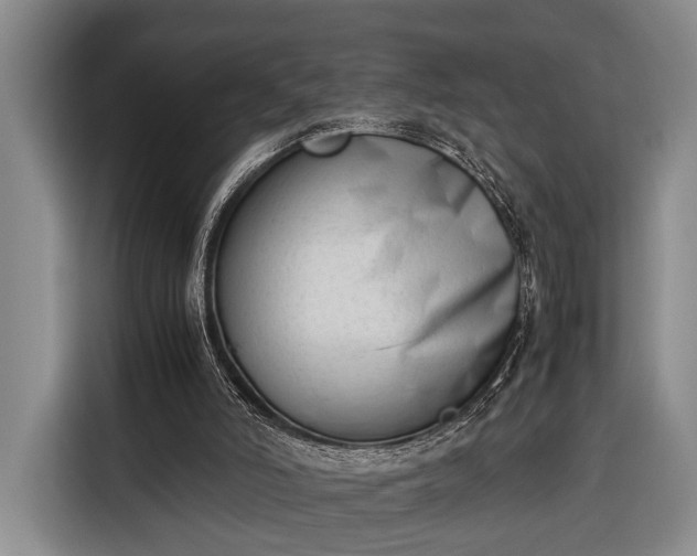 X0000116330006200912091048