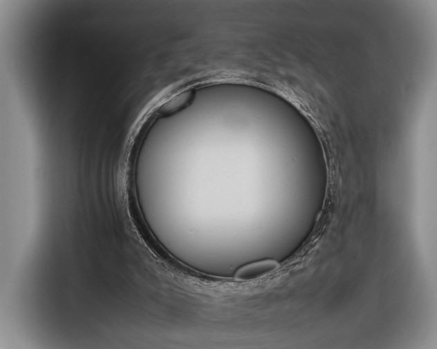 X0000116330007200912091048