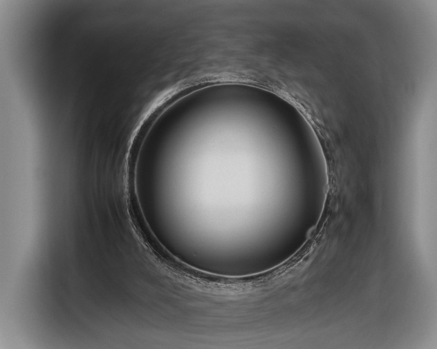 X0000116330008200912091048