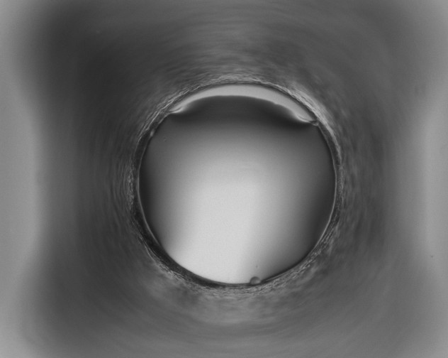X0000116330009200912091048