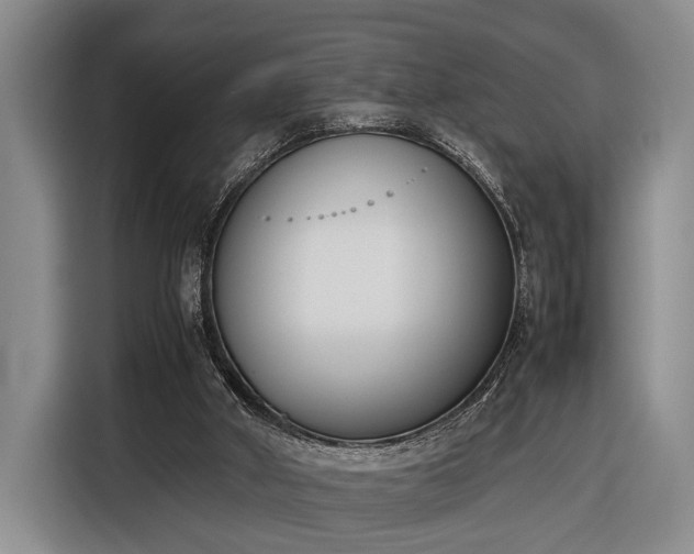 X0000116330010200912091048