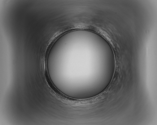 X0000116330011200912091048