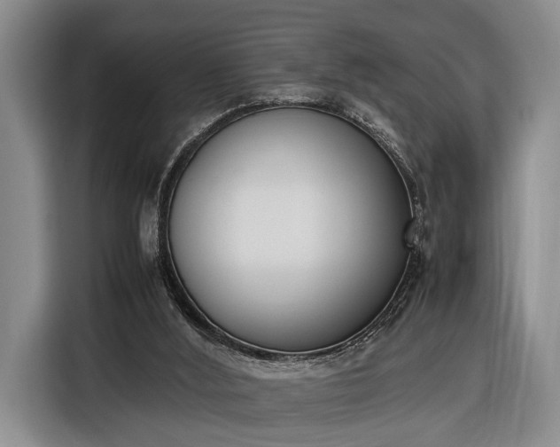 X0000116330012200912091048