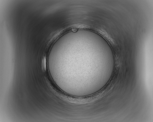 X0000116330014200912091048