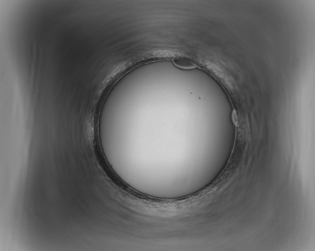 X0000116330015200912091048