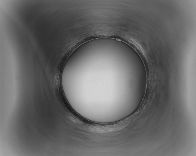 X0000116330017200912091048
