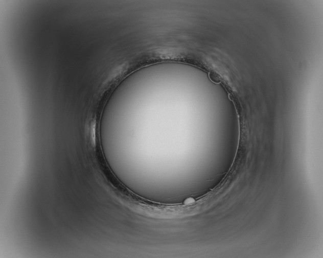 X0000116330019200912091048