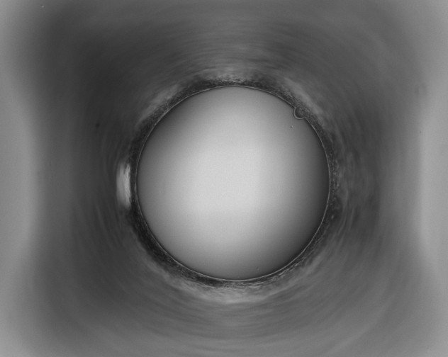 X0000116330020200912091048