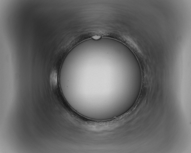X0000116330021200912091048