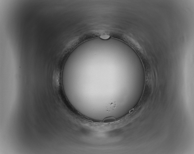 X0000116330023200912091048