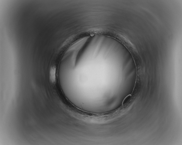 X0000116330024200912091048