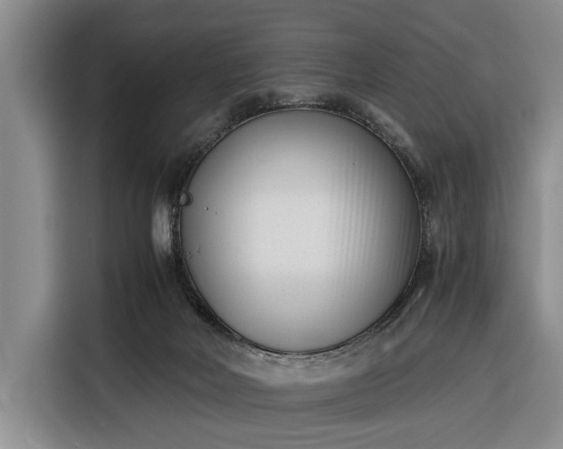 X0000116330026200912091048